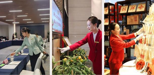 香港猛料免费资料